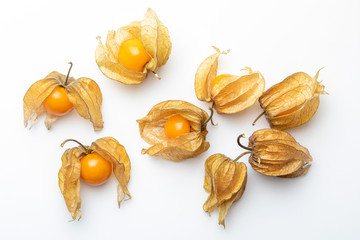 Flowers and fruits of Fisalis (Physalis peruviana) isolated on white background. Viewed from above.
