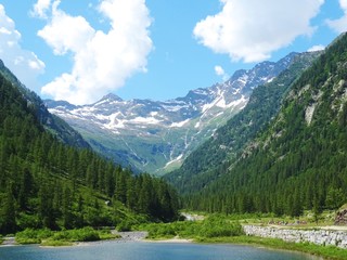 The view of the Alps of the Quarazza valley, near the town of Macugnaga, Italy - July 2019.