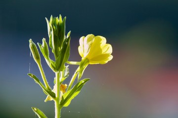 아름다움을 감싸는 흔적