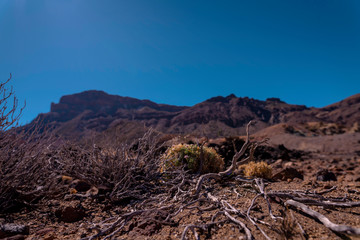 Spain Tenerife desert blue sky 