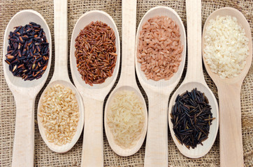Assortment of different rice in wooden spoons: white rice red rice black rice a mixture of wild and brown rice. The whole grain of rice. unpolished rice. Healthy food background.