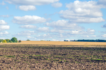 Fototapeta na wymiar Agriculture plowed field and blue sky with clouds