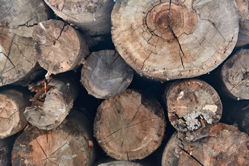 wood, tree, firewood, log, stack, timber, pile, cut, woodpile, logs, nature, lumber, texture, brown, forest, fire, wooden