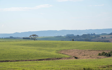 Fototapeta na wymiar Rural landscape in agropastoral production areas. Fields in fallow 01.jpg