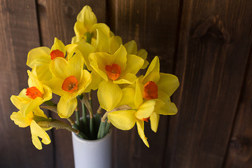 daffodils Narcissus in a vase on a dark brown wooden background