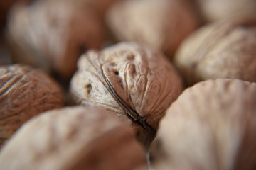 wallnuts close-up look