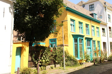 Fototapeta na wymiar Yellow house in Zutphen, the Netherlands