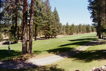 park in spring