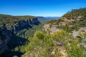 Fototapeta na wymiar hiking to norths lookout, blue mountains national park, australia 6