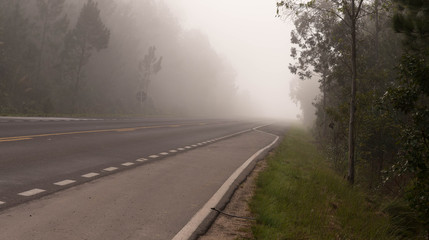 The freeway and the morning fog.jpg