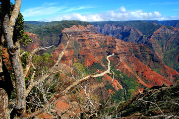 Erosion on Kauai Hawaii