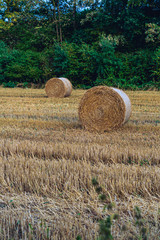 Hay bail harvesting in golden field landscape
