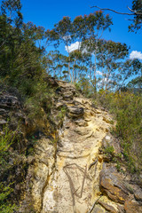 Fototapeta na wymiar hiking the pulpit rock track, blue mountains national park, australia 13
