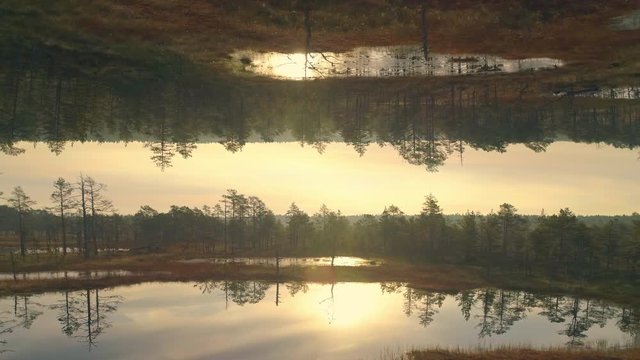 Mirror horizon effect morning sunrise in nature aerial view