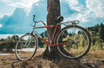 Fototapeta na wymiar An old white-red bike stands by a tree trunk. Cloudy sky, bright rays of the sun. In the background is a forest. Rustic concept, rustic, landscape. Place for text.