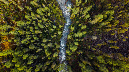 The mountain river from height of bird's flight