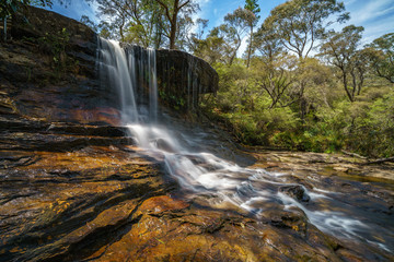 Fototapeta na wymiar waterfall on weeping rock walking track, blue mountains national park, australia 9