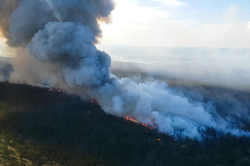 Fires in Russian forest, Transbaikal forest in fire, burning of