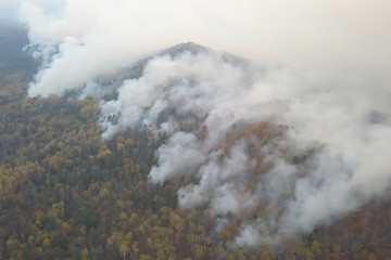 Fires in Russian forest, Transbaikal forest in fire, burning of