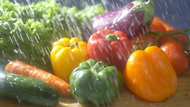 Fresh vegetables on a dark background in the studio under jets of rain. autumn harvest concept
