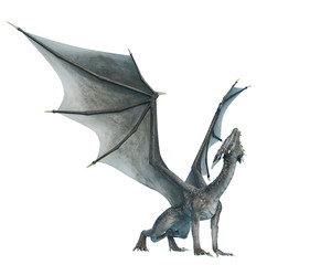 Obraz premium dragon side view