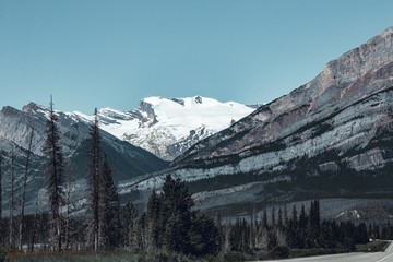 Road trip in the Canadian Rocky Mountains; Banff and Jasper National park, mountains, lakes, glaciers, forests. Nature rules.