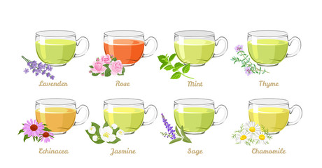Herbal and flower teas set. Vector illustration of teas in glass cups isolated on white background. Lavender, Rose, Mint, Thyme, Echinacea, Jasmine, Sage and Chamomile drink in cartoon flat style. - obrazy, fototapety, plakaty