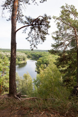 View from a hill covered with trees to a river