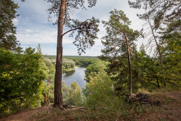Fototapeta na wymiar View from a hill covered with trees to a river