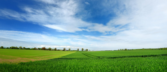 Scenic view of endless lush pastures and farmlands of Ireland. Irish countryside with emerald green fields and meadows. Rural landscape.