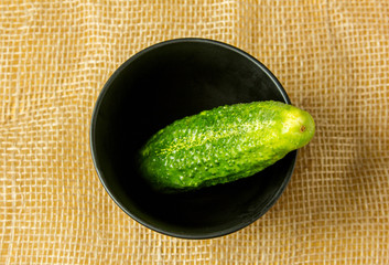 Cucumber