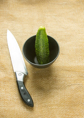 Cucumber