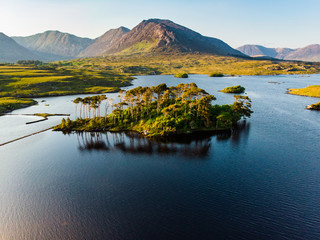 Twelve Pines Island, standing on a gorgeous background formed by the sharp peaks of a mountain range called Twelve Pins or Twelve Bens, Connemara, County Galway, Ireland - obrazy, fototapety, plakaty