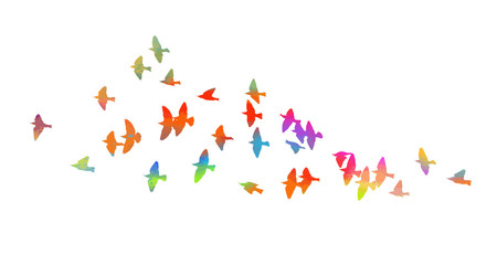 Multi-colored birds. A flock of flying rainbow birds. Vector illustration