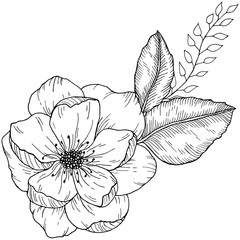 Hand drawn floral bouquet with wild rose flower and leaves monochrome vector illustration