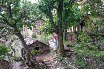 Tosh/India-20.10.2018:The traditional himachal house in Tosh