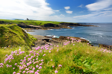 Spectacular view of Mullaghmore Head with huge waves rolling ashore. Picturesque scenery with magnificent Classiebawn Castle. Wild Atlantic Way, County Sligo, Ireland