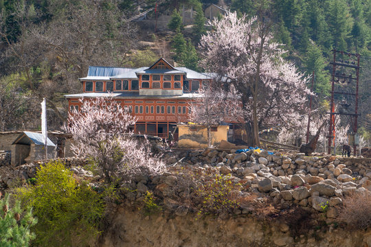 Charang/India-23.04.2019:The beautiful traditional house in himachal pradesh