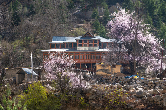 Charang/India-23.04.2019:The beautiful traditional house in himachal pradesh