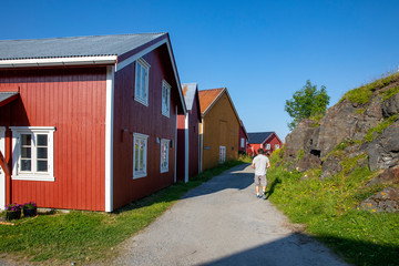 Row of red houses on Vega island