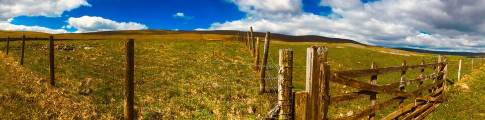 Obraz premium rural landscape with fence and blue sky