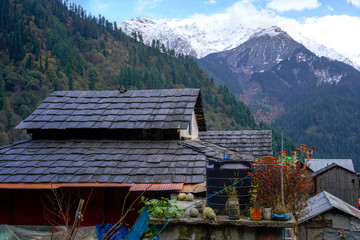 Tosh/India-20.10.2018:The traditional himachal house in Tosh