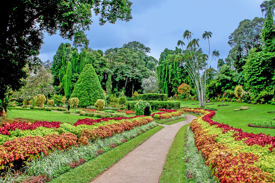 botanical Garden of Peradeniya