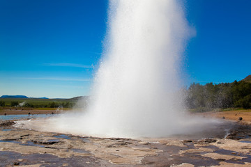 Geyser in Iceland against the blue sky and forest. A tall column of hot water breaks out of the...