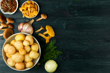 Fresh mushrooms with spices and herbs on black board. View from above. Copy space.