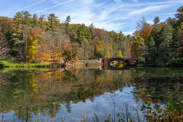 Fototapeta na wymiar Autumn Leaves on Pond