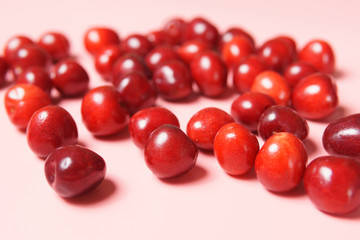 Red sweet cherry scattered on a pink background