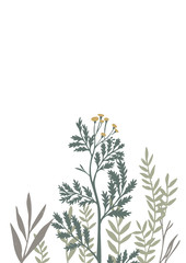 Vector botanical frame isolated on white. Floral drawing made of meadow flowers, foliage, stems, herbs and leaves. Nature illustration for postcard, card, invitation, greeting, placing text or phrase.