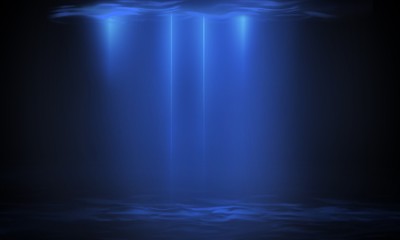 Fototapeta premium The depth of the sea water, the ocean floor, the rays of the sun through the water, the underwater world, the sea scene.