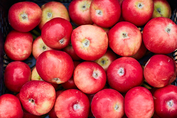 Red ripe apples, pile of fresh apple fruits, natural food